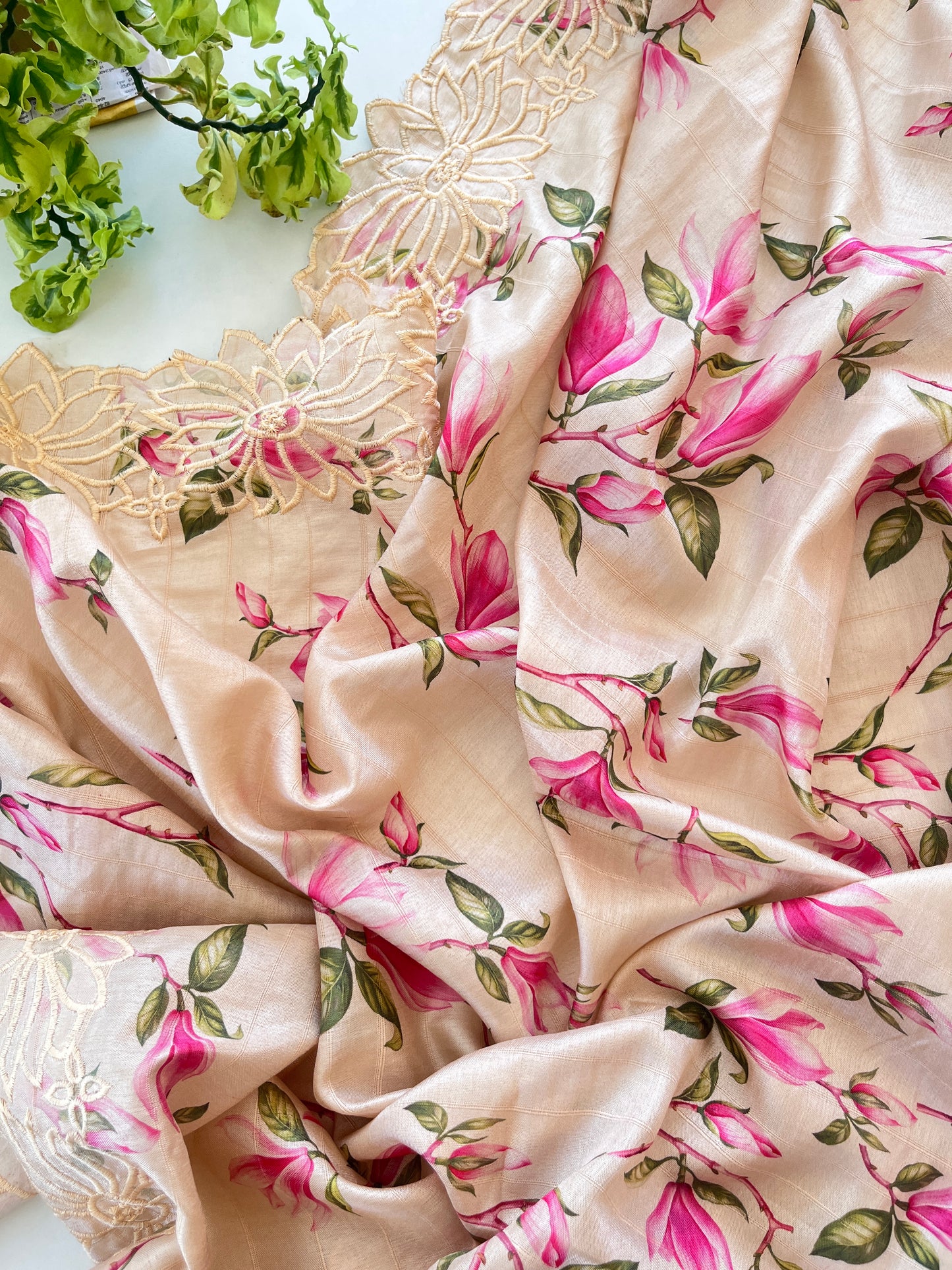 Nada Saree in Beige & Pink