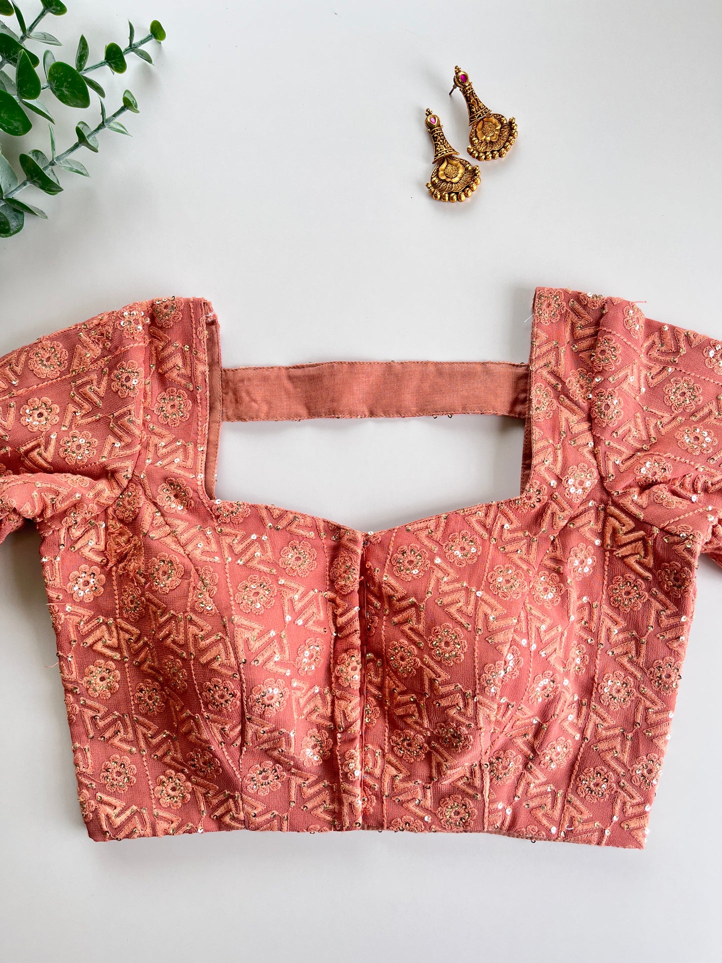 Nude Brown Chikankari Blouse