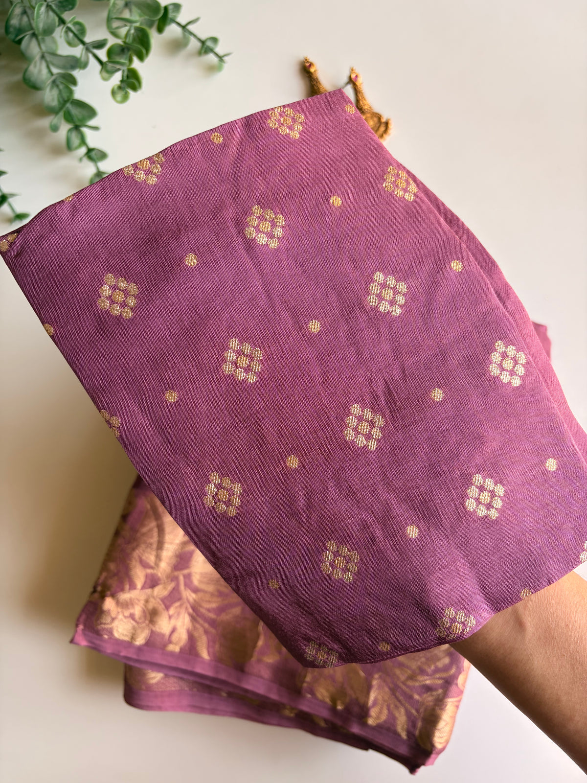 Aanya in Mauve