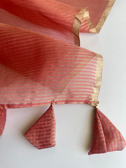 Zaiba in Onion Pink